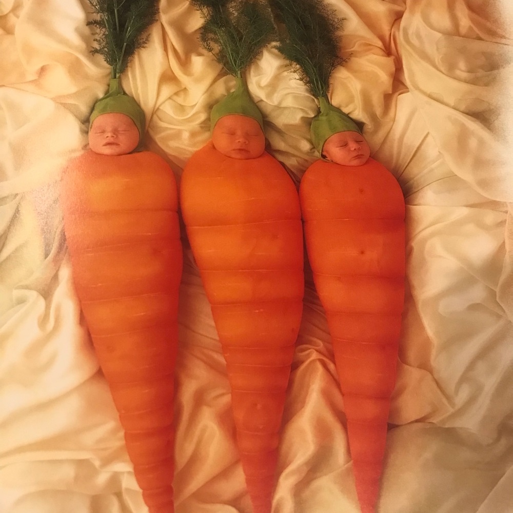 ANNE GEDDES DOWN IN THE GARDEN NWOT - Picture 9 of 16